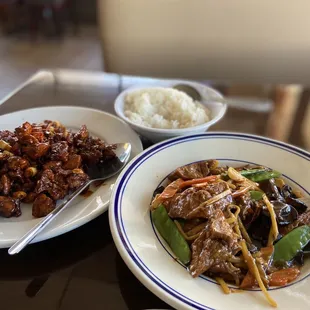 Kung Pao Chicken and Tofu Sichuan Style