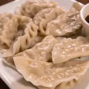 Chicken Dumplings