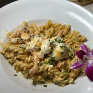 a plate of pasta with shrimp and cheese