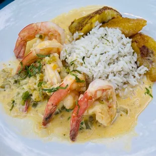 Shrimp in coconut sauce