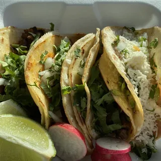 Taco Barbacoa