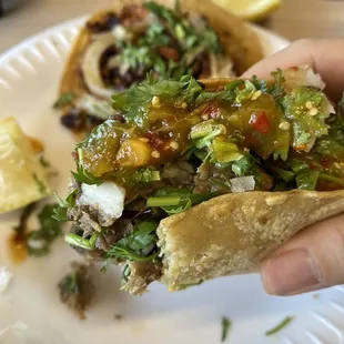 a hand holding a sandwich