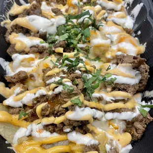 Papa's a La Diabla (loaded fries with steak)