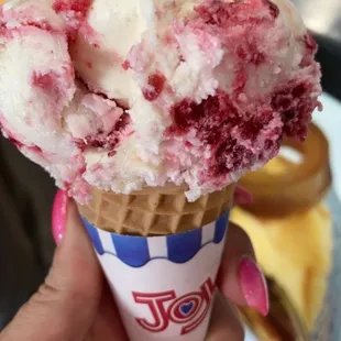 Zarzamora / blueberry ice cream