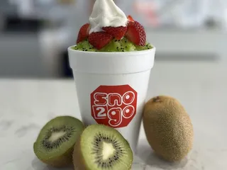 Sno 2 Go