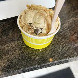 Snickers Ice Cream Single Scoop