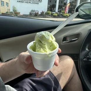 Avocado ice cream. Creamy and delicious.