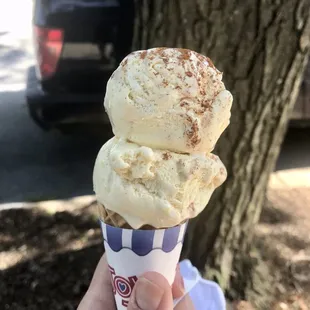 Corn ice cream + cinnamon on top