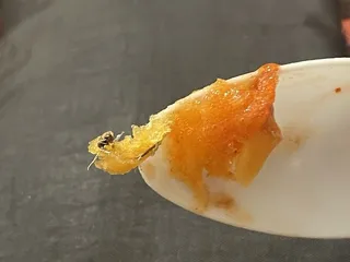 Paleteria Y Neveria Delicias Michoacan