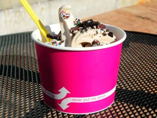 Xogurt