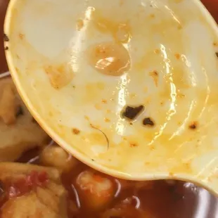 a spoon full of soup