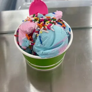Bubble Chicle / Gum Ice Cream