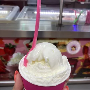 Coconut Ice Cream