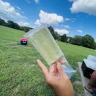 a hand holding a bag of ice cream
