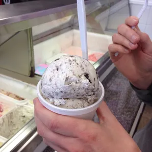 Cookies and Cream Ice Cream