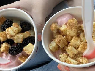 Yogolicious Frozen Yogurt