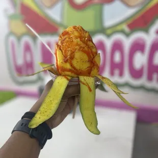 a hand holding a peeled fruit