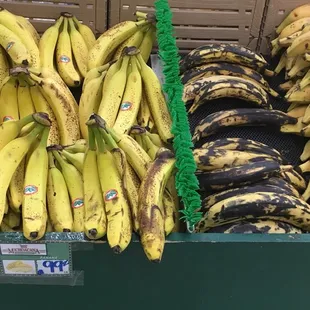 Fresh fruit