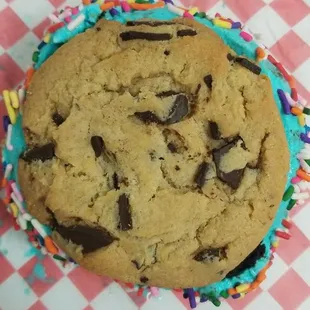 Ice Cream Cookie Sandwich