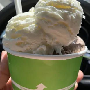 a hand holding a cup of ice cream