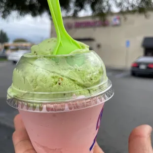 Small, pinenuts and pistachio ice cream