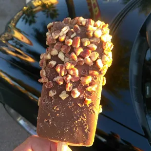 One of my Flavorits . Vanilla ice cream dipped in chocolate then dipped in walnut's