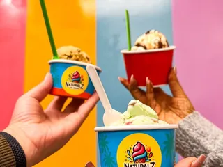 Naturalz Ice Cream - San Antonio