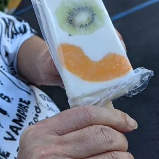 Yogurt fruit bar