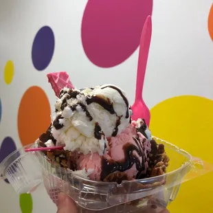 Ice cream coco and pinon