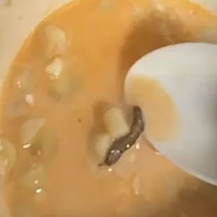 Worm in coctel de elote