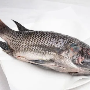 a whole fish on a plate