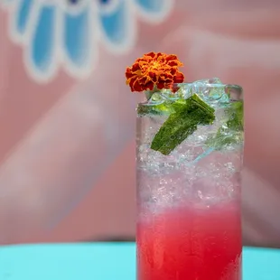 Hibiscus Mojito - Uruapan Charanda, rum, mint, hibiscus, lime, soda.