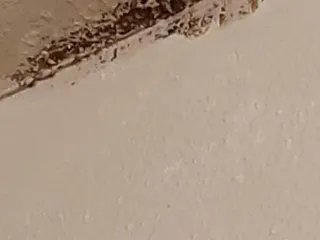 Sierra Meadows Apartments