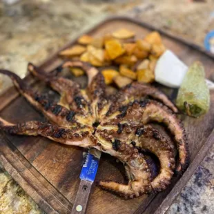 Grilled octopus