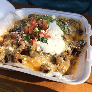 Carne asada fries