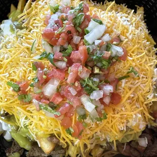 Carne asada fries!!