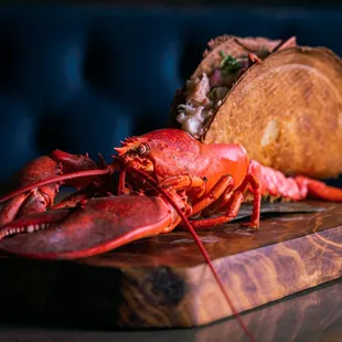 LOBSTA BIG F*#K'N TACOS