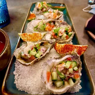 OYSTERS*