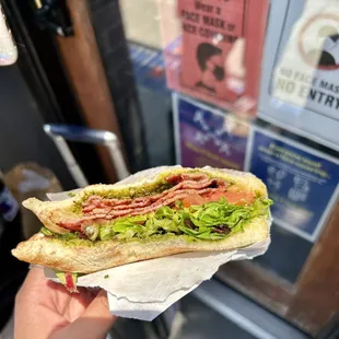 a person holding a sandwich