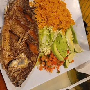 Tilapia