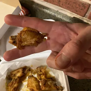 La Novas smallest wings ever!