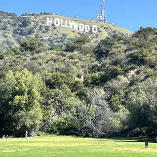 Hollywood Lake park