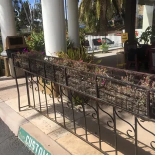 Love the flowers and patio decor of this charming place Casa Del taco... Great food, Clean pretty flowers decor etc -jen n sonny