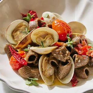 pasta, pasta dish, food