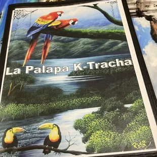 two toucans perched on a branch