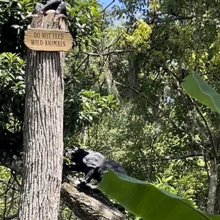 Handcrafted beautiful scenery