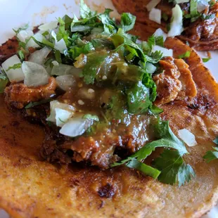 House Palma Taco