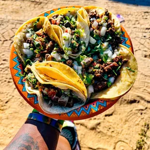 a person holding a plate of tacos