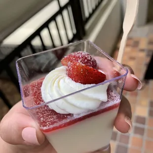 berry panna cotta