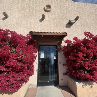 Enterance
